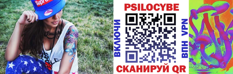 сайты даркнета официальный сайт  наркота  Озёры  Псилоцибиновые грибы Psilocybe 